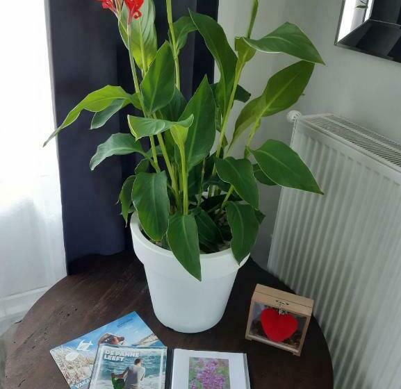 پانسیون Lilafee