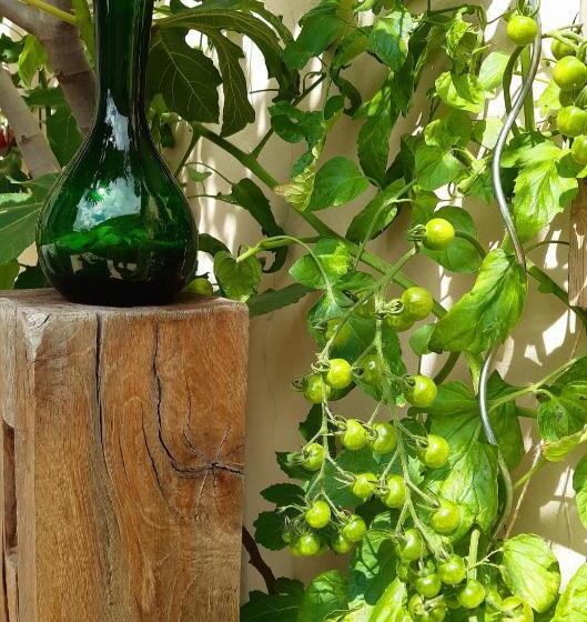 پانسیون Lilafee