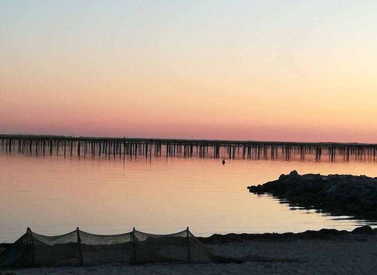 住宿加早餐  Chambre à Bouzigues Dans Villa Individuelle
