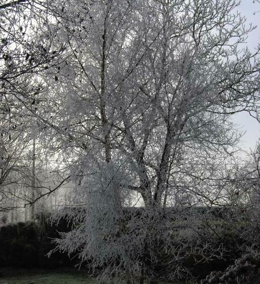 Bed and Breakfast Chambre D Hotes Murielle