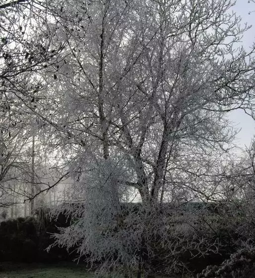 Aamiaismajoitus (B&B) Chambre D Hotes Murielle