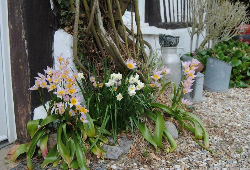 Bed and Breakfast Chambre D Hotes Murielle