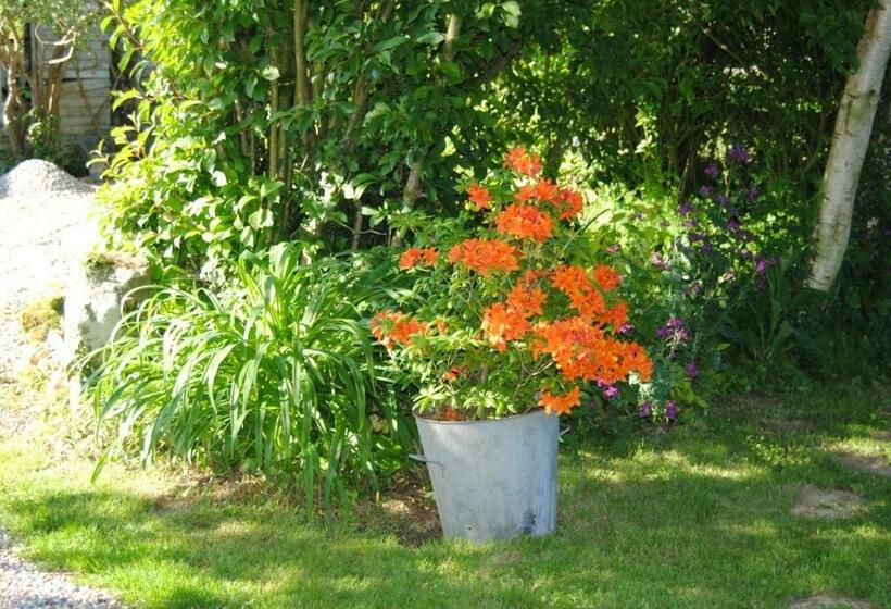 Bed and Breakfast Chambre D Hotes Murielle