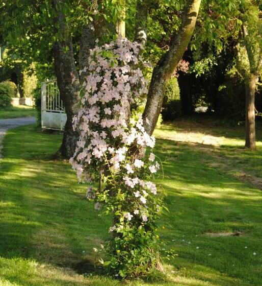 Bed and Breakfast Chambre D Hotes Murielle