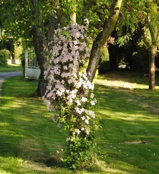 Aamiaismajoitus (B&B) Chambre D Hotes Murielle