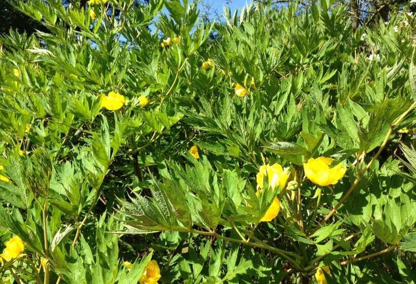 住宿加早餐 Gweebarra