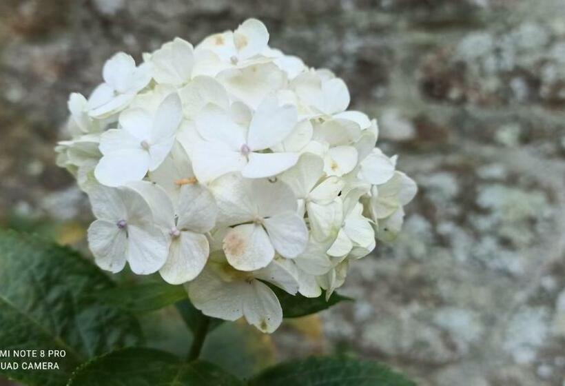 مبيت وإفطار Les Chambres De L Atelier