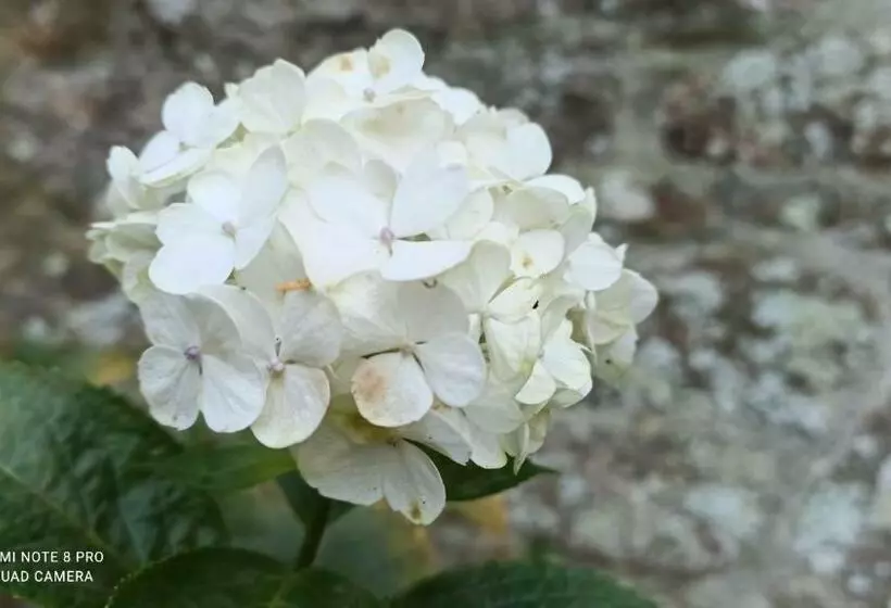 Aamiaismajoitus (B&B) Les Chambres De L Atelier