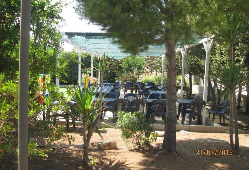 تختخواب و صبحانه Pescandora