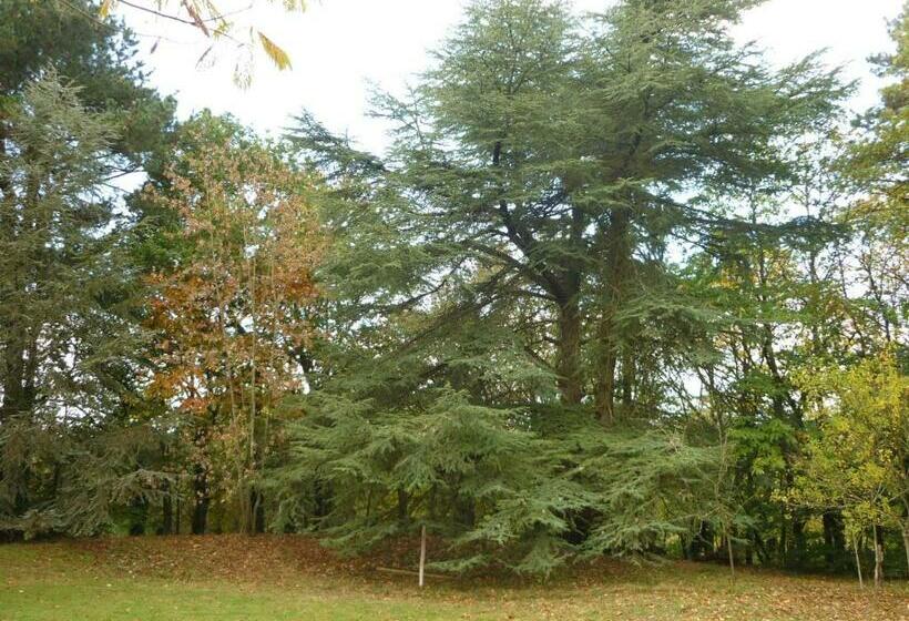 住宿加早餐  Stretcha