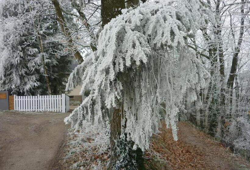 住宿加早餐  Stretcha