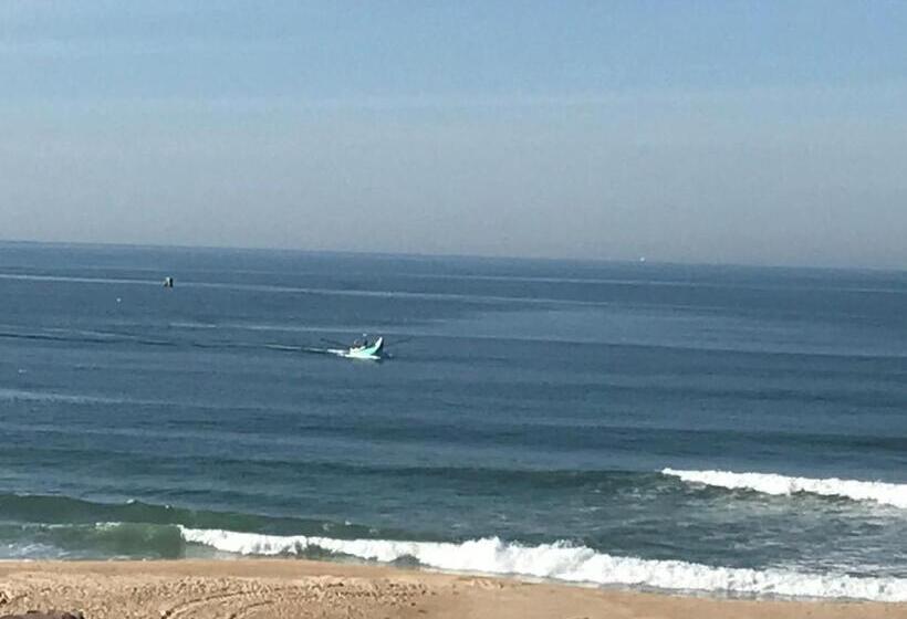 بنسيون Avenida