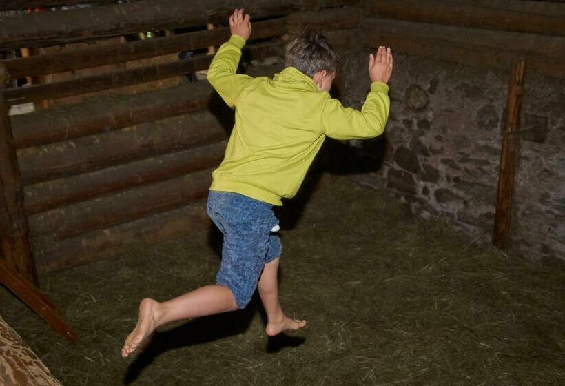 פנסיון Gut Vögeihof