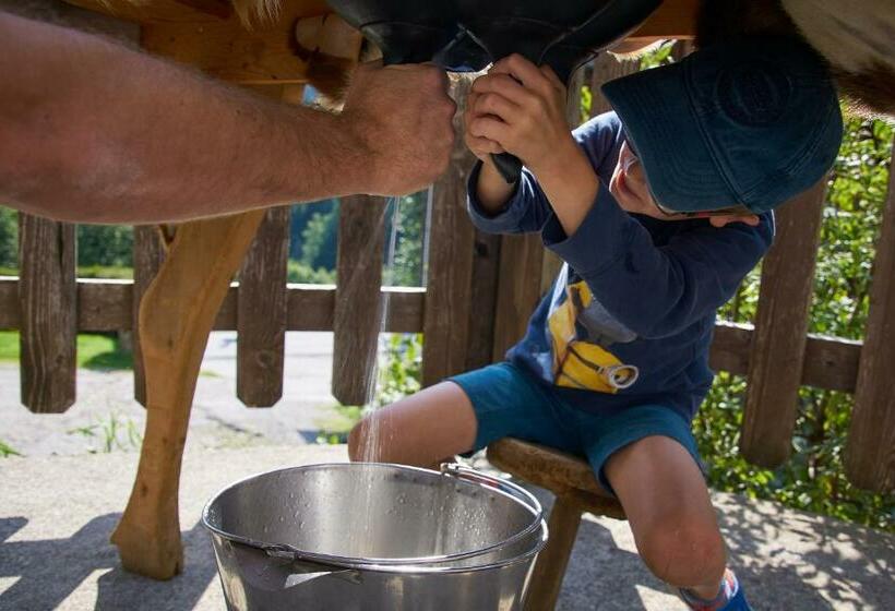 פנסיון Gut Vögeihof