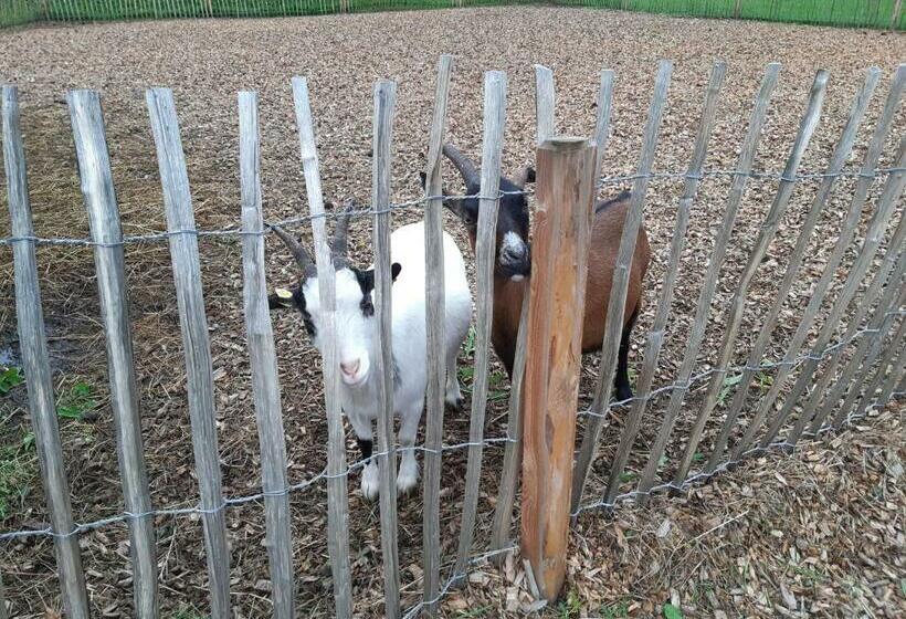 פנסיון Gut Vögeihof