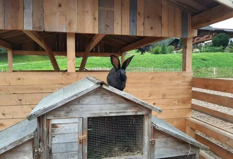 ペンション Gut Vögeihof