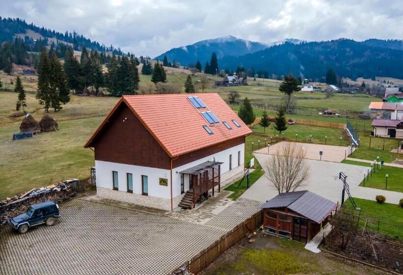 پانسیون Montana Resort Colibita