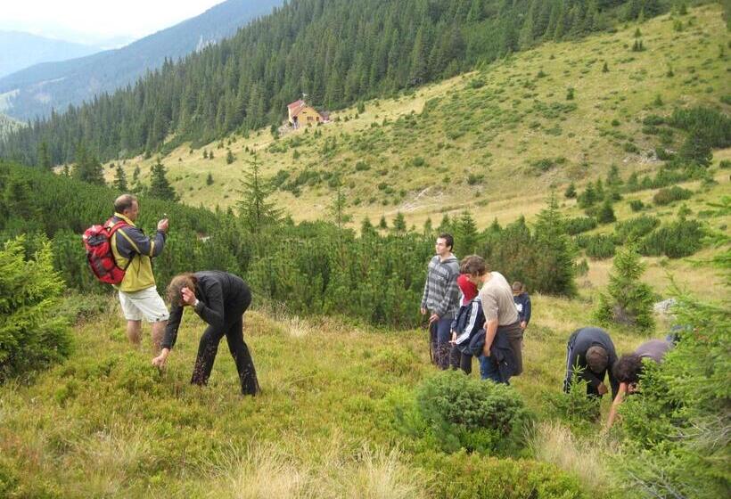 پانسیون Montana Resort Colibita