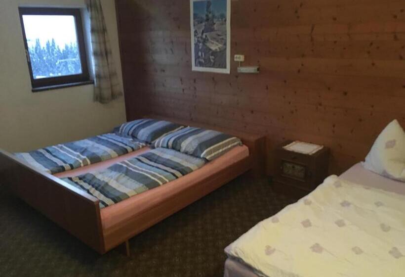 פנסיון Mountain Blast