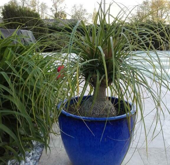 住宿加早餐 Le Ti Roussat