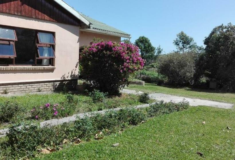 فندق Guest Lodge On The Edge