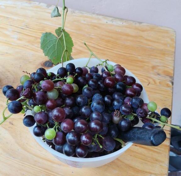 فندق Guest Lodge On The Edge