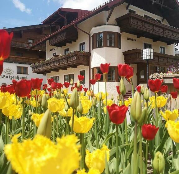 Pensionat Chalet Sonneck