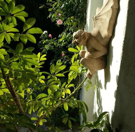 住宿加早餐  Chambre D Hotes Casa Biba