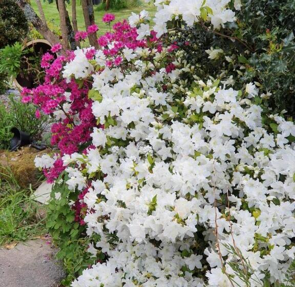 Bed and Breakfast Couloumine Breizh