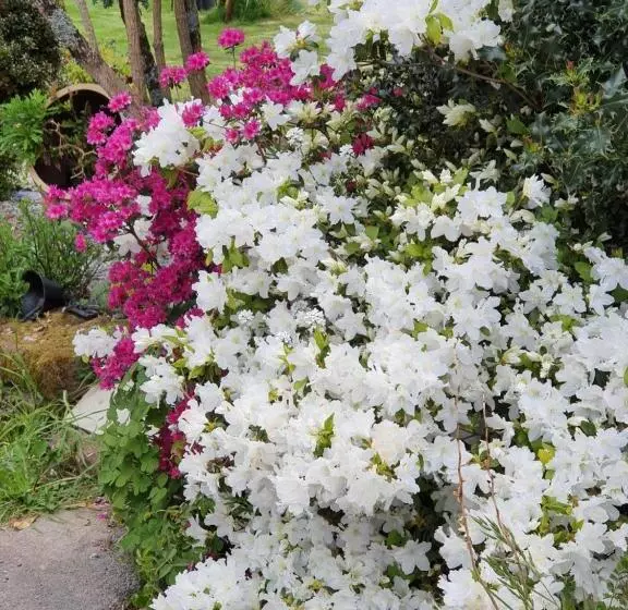 ベッドアンドブレックファースト Couloumine Breizh