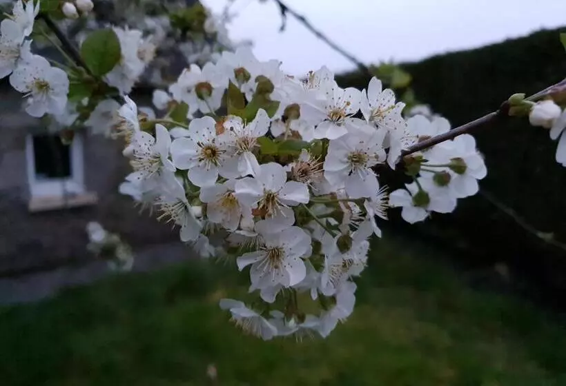 ベッドアンドブレックファースト Couloumine Breizh