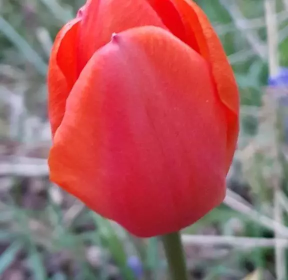 ベッドアンドブレックファースト Couloumine Breizh