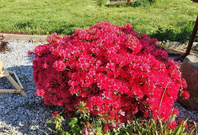 Bed and Breakfast Couloumine Breizh