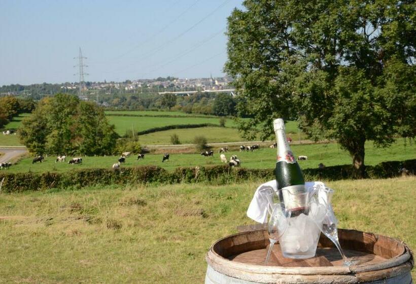 تختخواب و صبحانه Les Coteaux Du Vinave