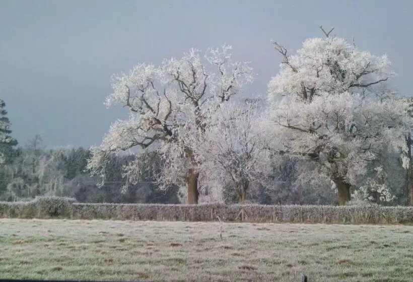 Aamiaismajoitus (B&B) Mayertorne Cottage
