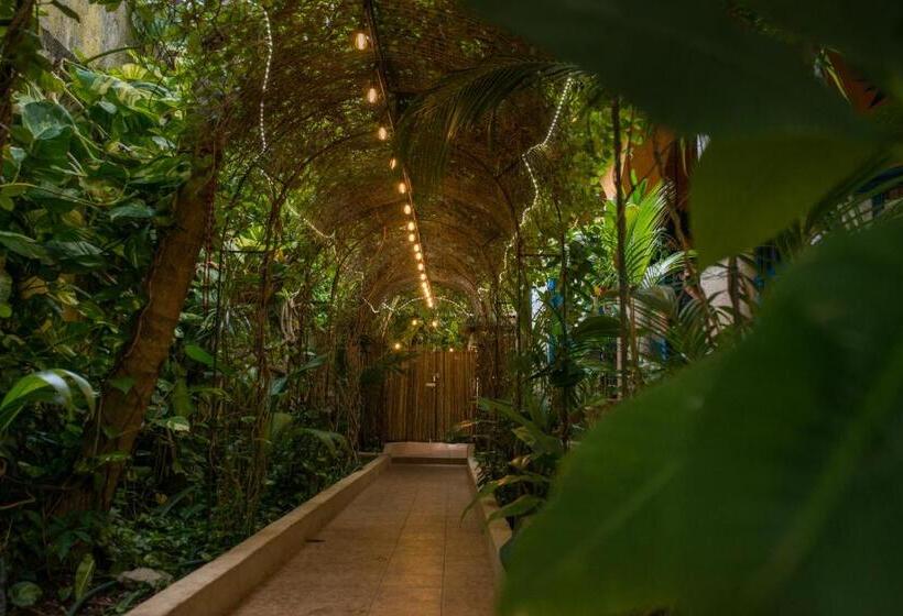 Hacienda Boutique B&b And Spa Solo Adultos