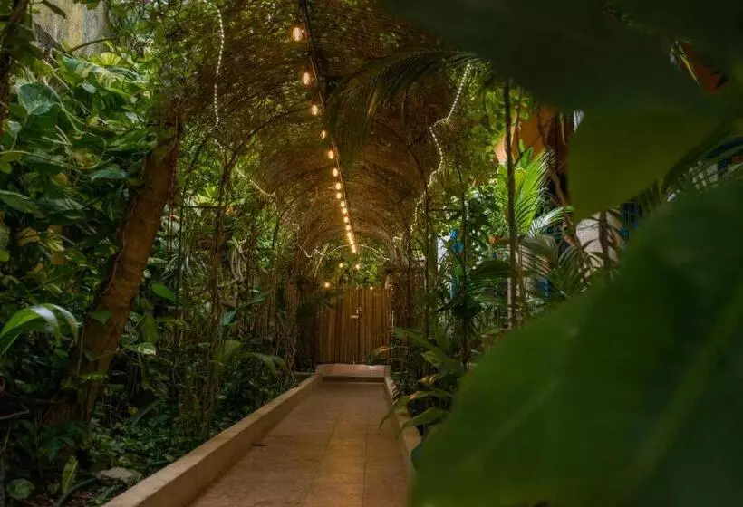 Hacienda Boutique B&b And Spa Solo Adultos