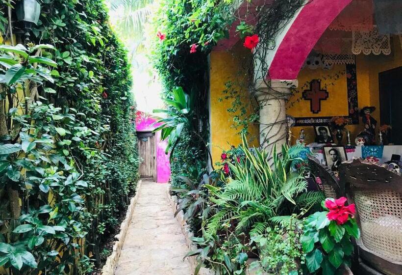 Hacienda Boutique B&b And Spa Solo Adultos