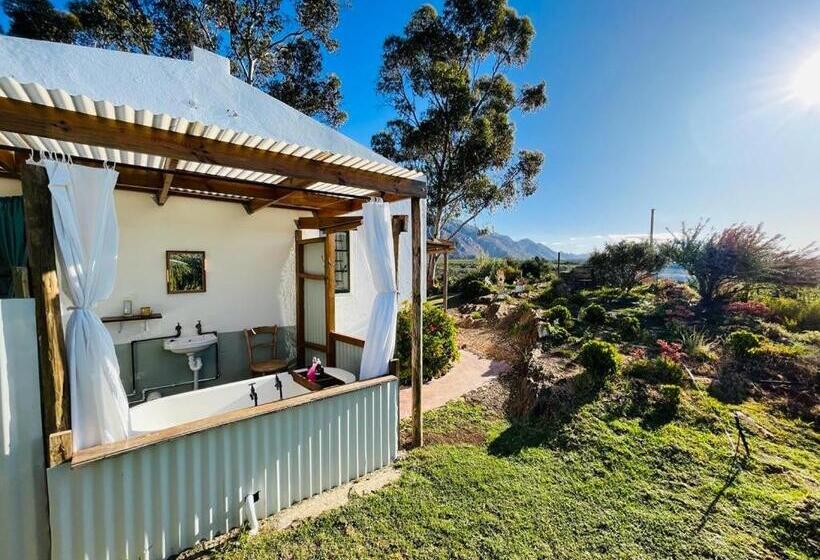 Отель 360on62 Farm Cottages