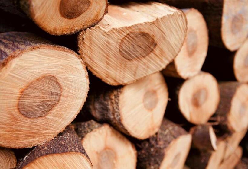 Pensió Fellview Guest House