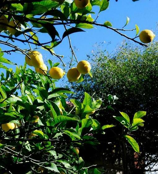 צימר Il Giardino