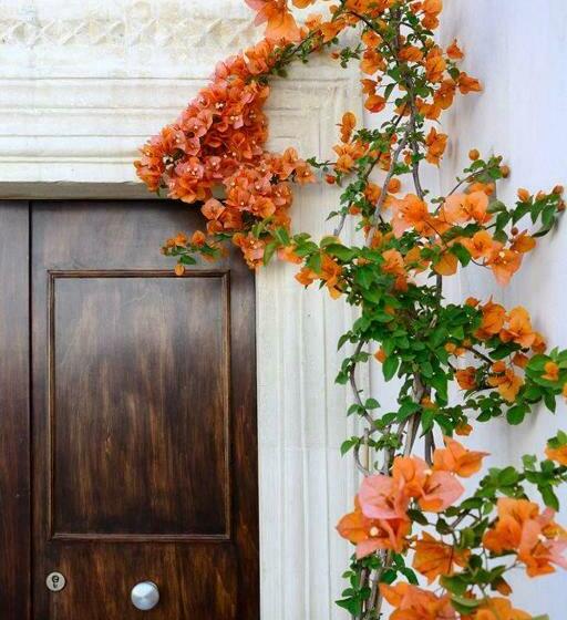 צימר Il Giardino