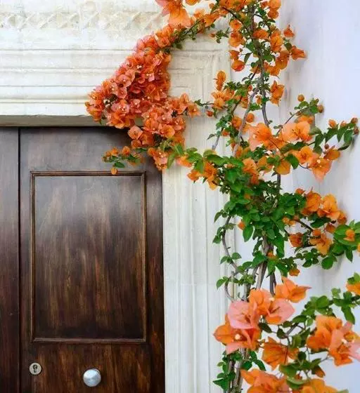 Aamiaismajoitus (B&B) Il Giardino