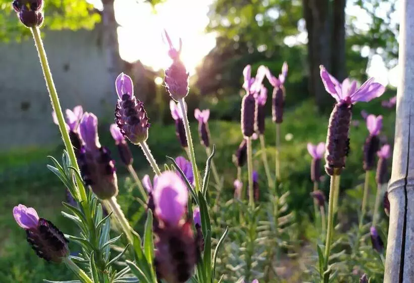 Aamiaismajoitus (B&B) Maison D Hôtes Les Beaux Chenes