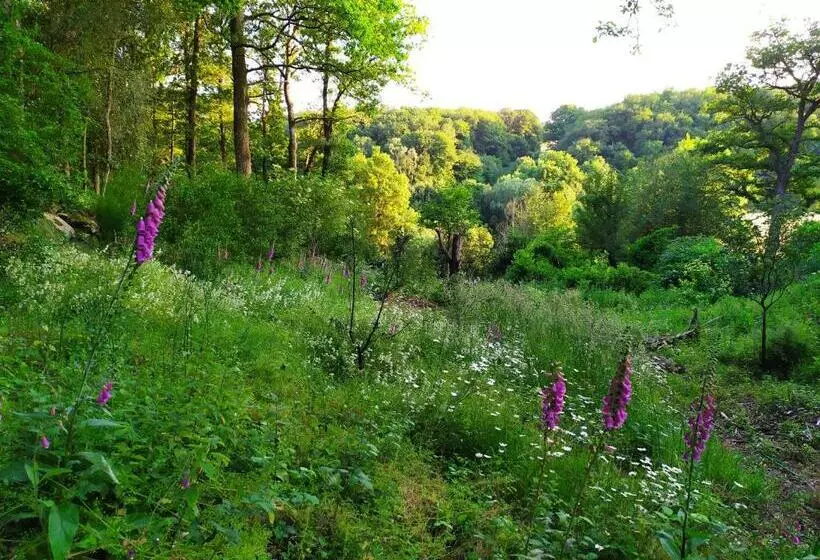 Aamiaismajoitus (B&B) Maison D Hôtes Les Beaux Chenes