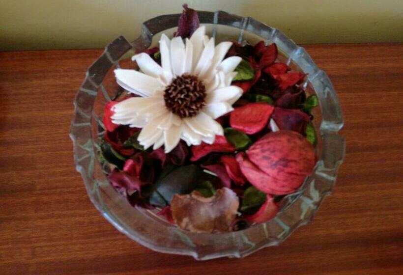 酒店 Albergo Al Castello