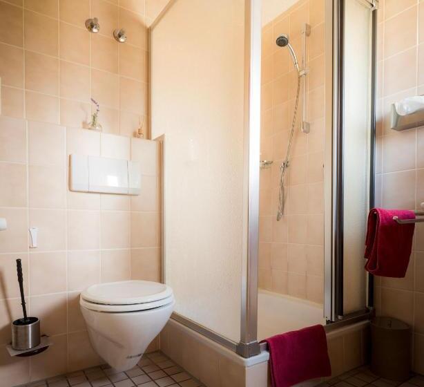 בית מלון כפרי Landgasthof Ritter