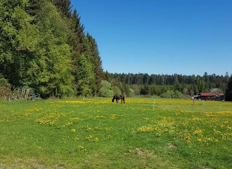 Hotelli Landgasthof Ritter