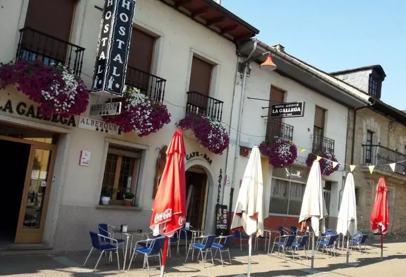 پانسیون La Gallega