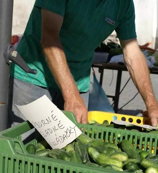 Majatalo Villa Letná